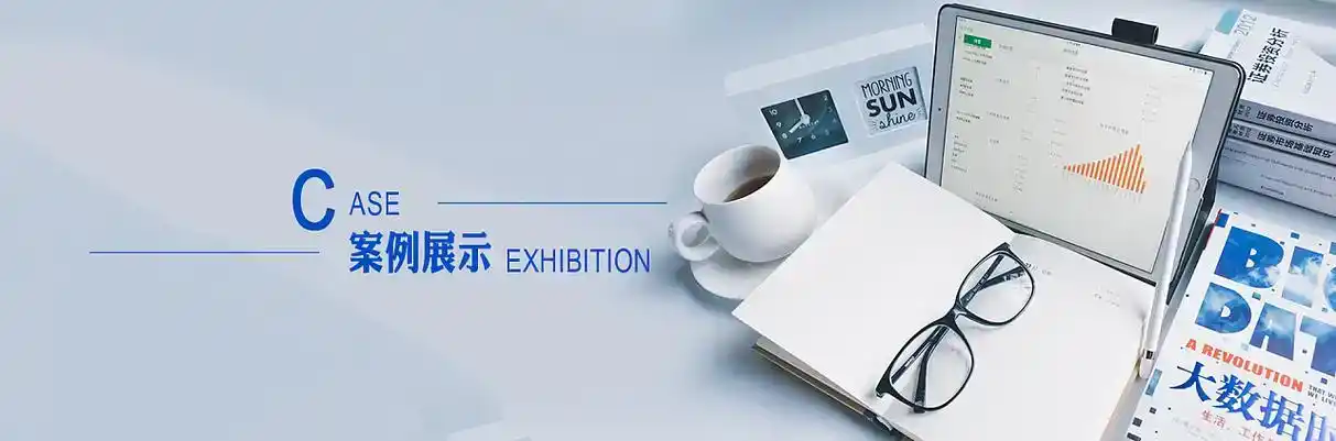 茂南区软件开发